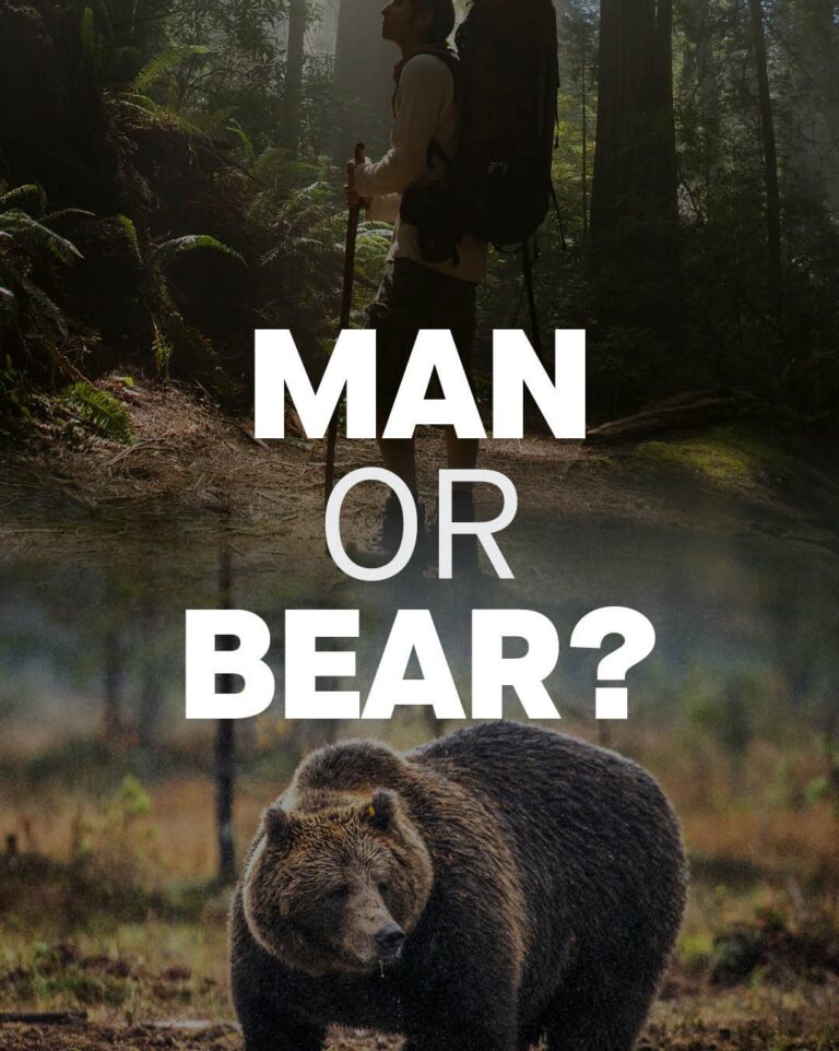 Revisiting the Man or Bear Meme: Outrage vs Reality