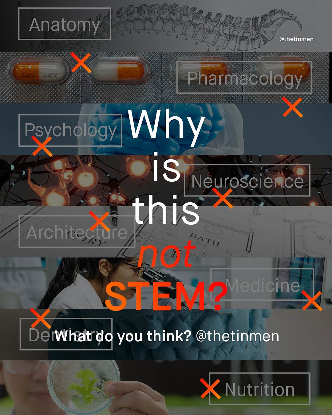 Anatomy @thetinmen Pharmacology Psychology Why is Neuroscience this Architecture BATH ntr STEM? Medicine Deihat do you think? @thetinmen Nutrition
