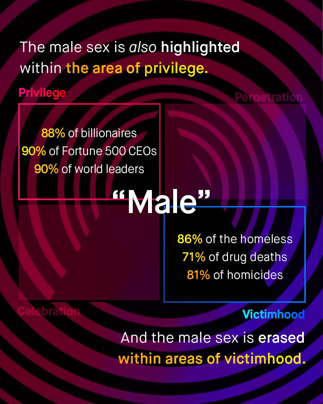 The male sex is also highlighted within the area of privilege: Privilege Perpetration 88% of billionaires 90% of Fortune 500 CEOs 90% of world leaders Male" 86% of the homeless 71% of drug deaths 81% of homicides Celebration Victimhood And the male sex is erased within areas of victimhood