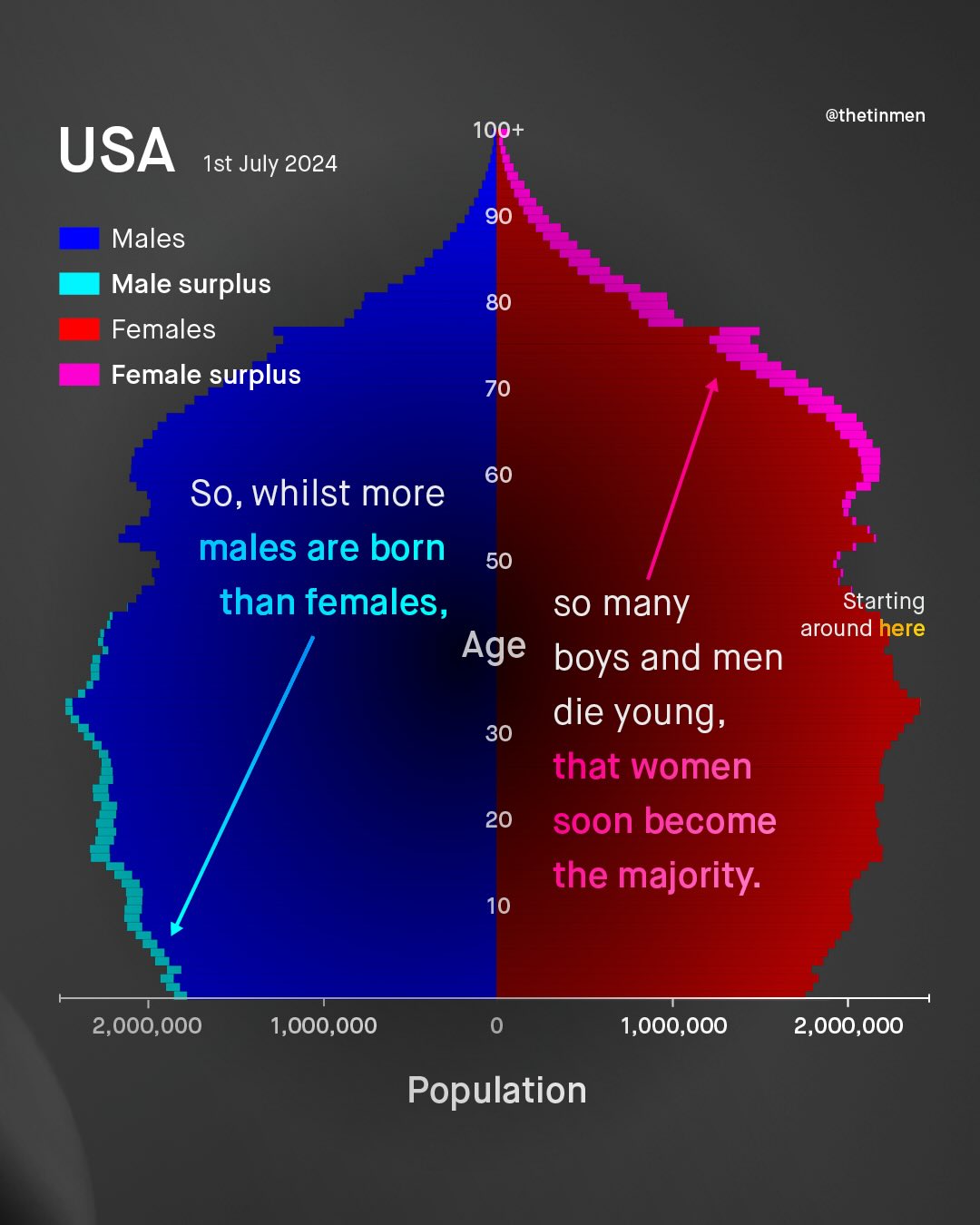@thetinmen 100 USA Ist July 2024 Males Male surplus Females Female surplus So, whilst more males are born 50 than females, sO many Starting around here Age boys and men die young; that women 20 soon become the majority: 2,000,000 1,000,000 1,000,000 2,000,000 Population