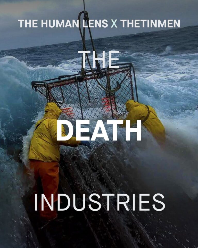 The Invisible Cost of the Privilege Narrative